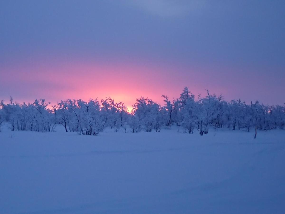 Mattarahkka Northern Light Lodge Kiruna Exteriér fotografie